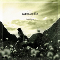 camomile